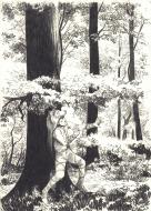 LE JARDIN DES GLACES  : Illustration originale au crayon - Loup-garou - par Jean-Claude SERVAIS